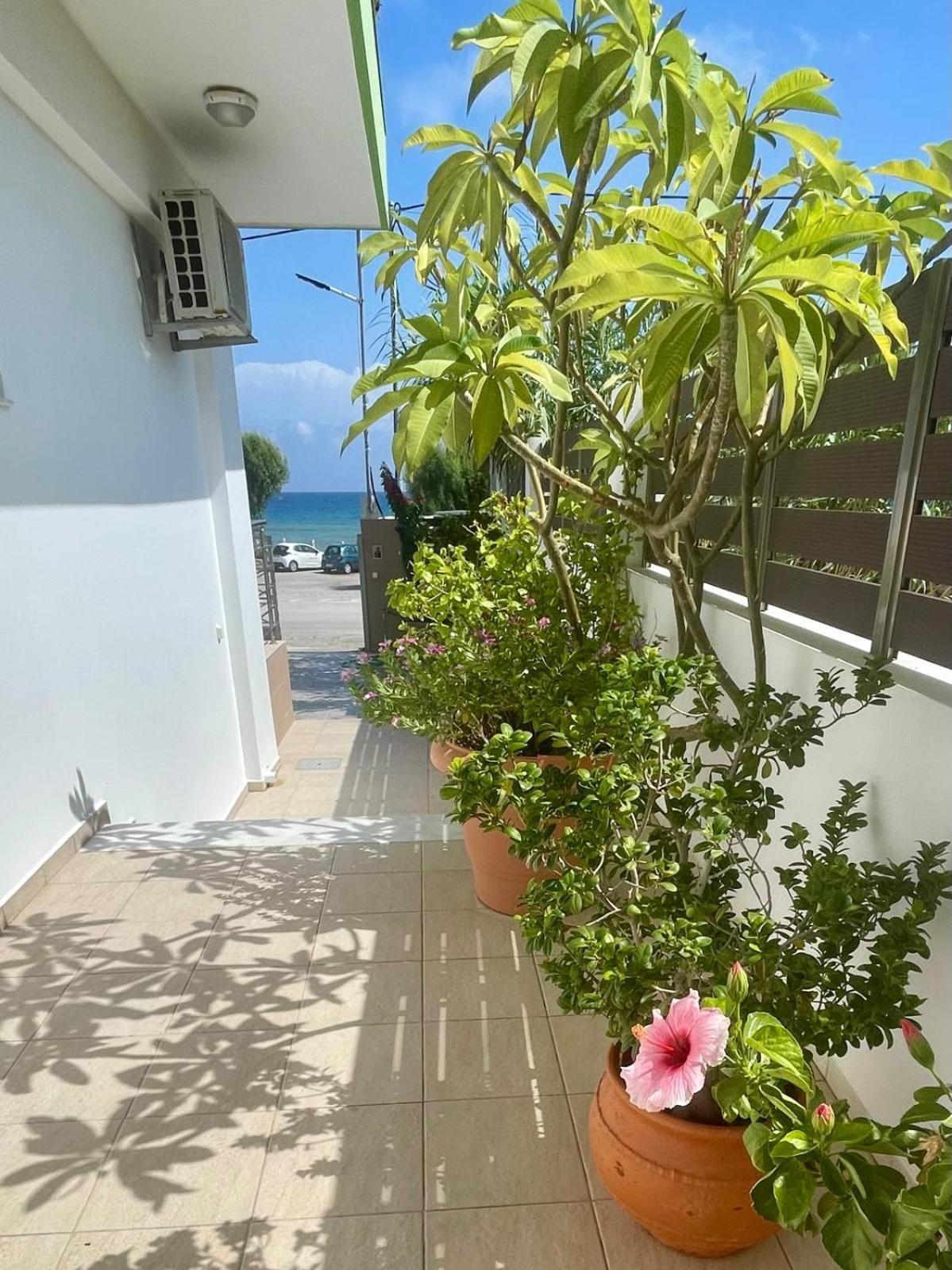 Гостьовий будинок Red Hibiscus Stegna Арханґелос Екстер'єр фото